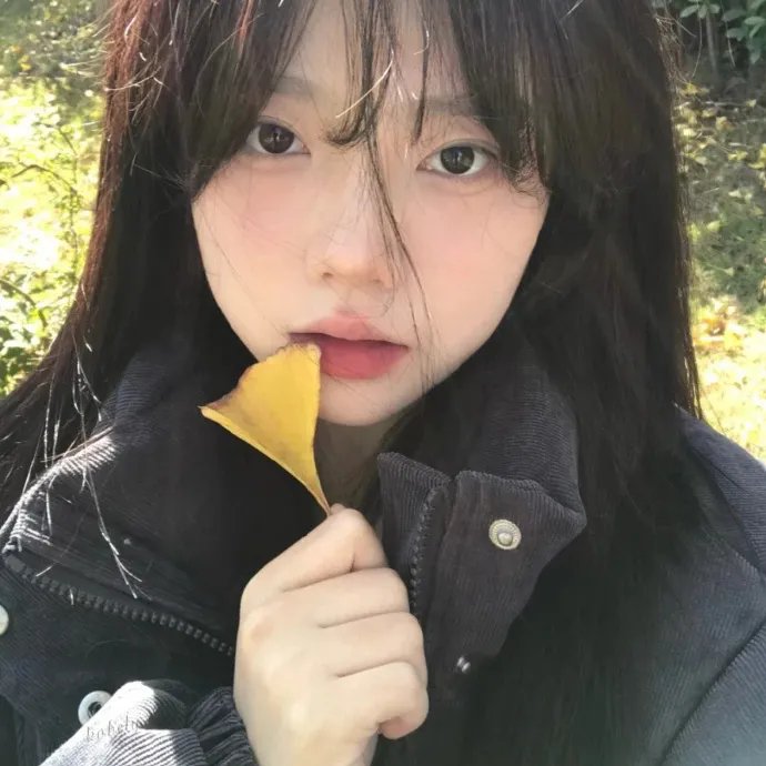 我的新朋友